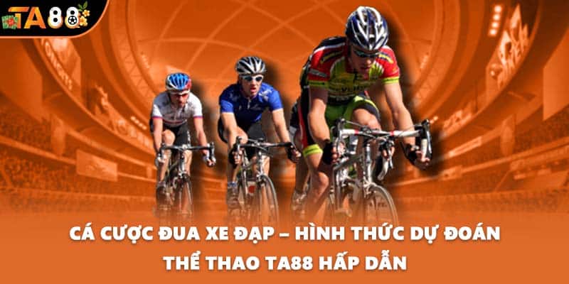 Cá cược đua xe đạp