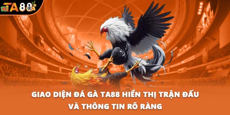 Giao diện đá gà TA88 hiển thị trận đấu và thông tin rõ ràng
