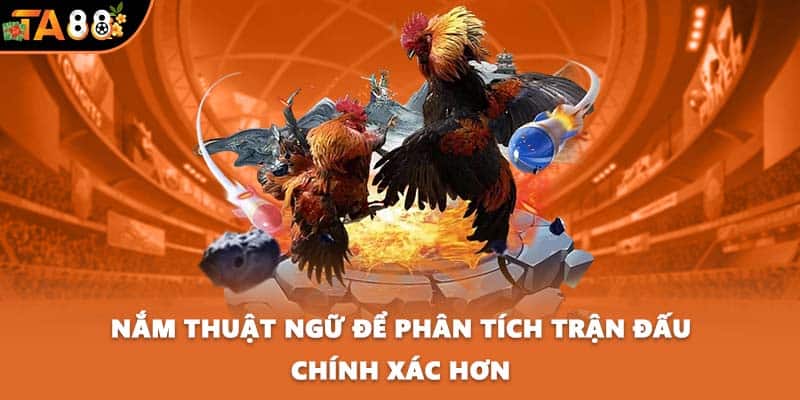 Nắm thuật ngữ để phân tích trận đấu chính xác hơn