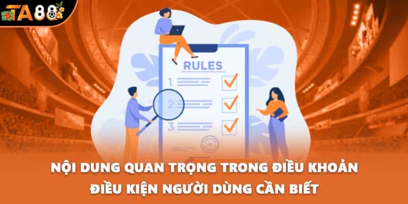 Nội dung quan trọng trong điều khoản điều kiện người dùng cần biết