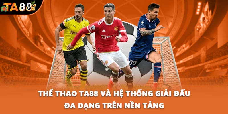 Thể thao TA88 và hệ thống giải đấu đa dạng trên nền tảng