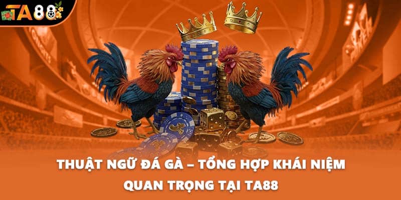 Thuật ngữ đá gà