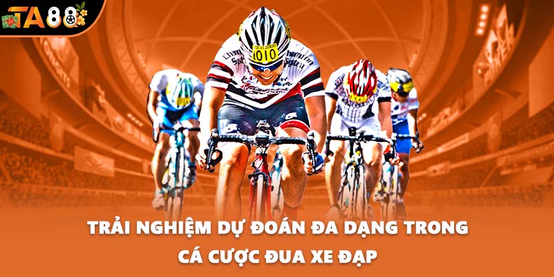 Trải nghiệm dự đoán đa dạng trong cá cược đua xe đạp
