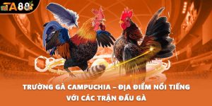Trường gà Campuchia