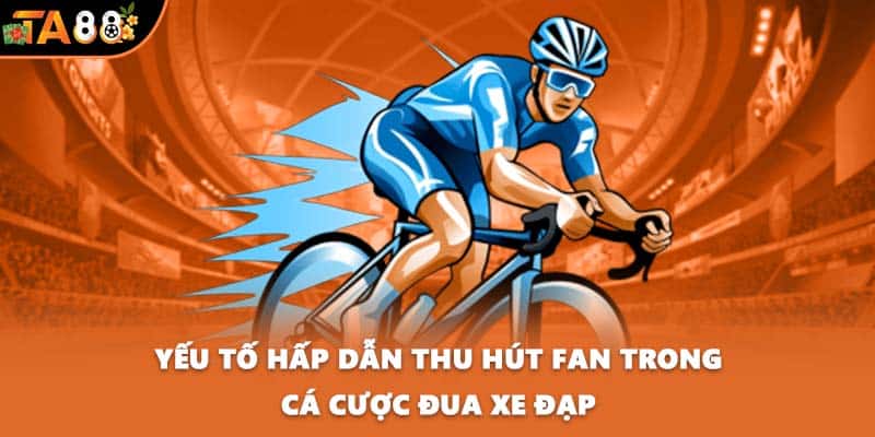 Yếu tố hấp dẫn thu hút fan trong cá cược đua xe đạp