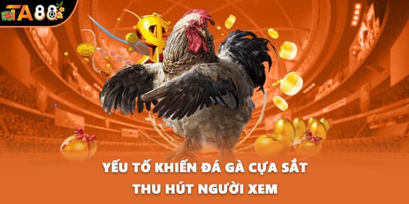 Yếu tố khiến đá gà cựa sắt thu hút người xem